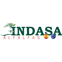 indasa