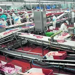PROYECTO EFICIENCIA ENERGETICA FABRICA ALIMENTARIA DE FRIBIN EN BINEFAR