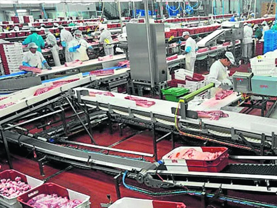 PROYECTO EFICIENCIA ENERGETICA FABRICA ALIMENTARIA DE FRIBIN EN BINEFAR